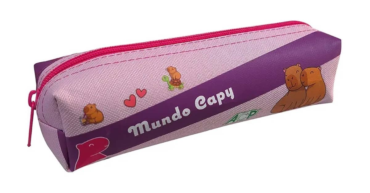 Melhor Estojo do Mundo: Guia Completo Para Organização Escolar