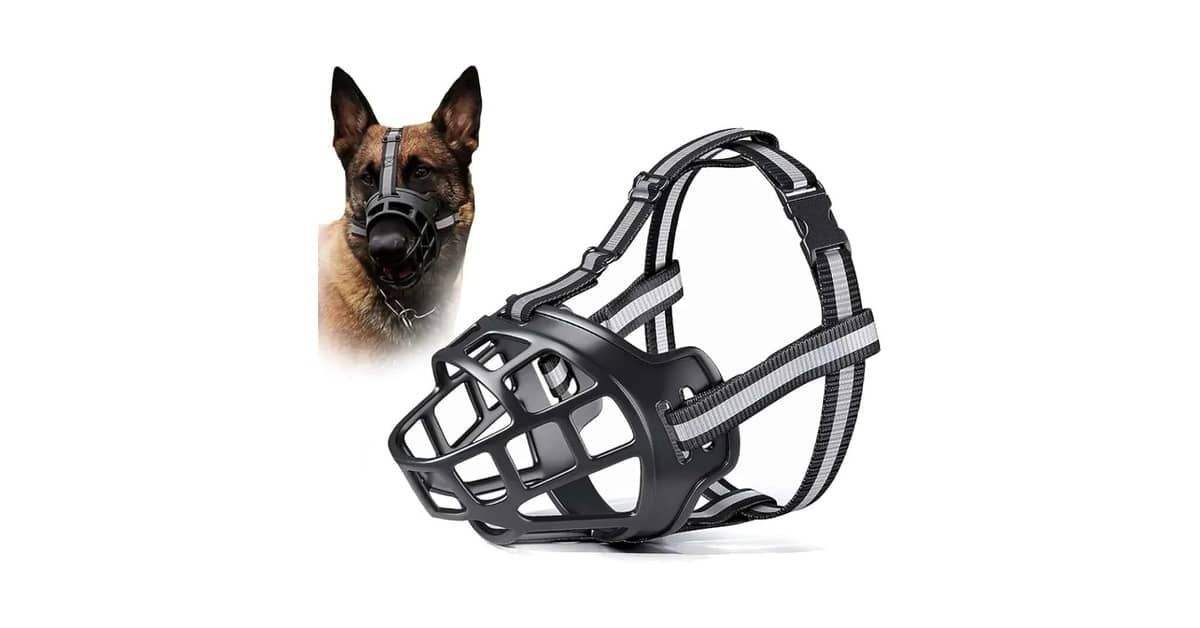 Melhor Focinheira para Cachorro Grande: Conforto e Segurança