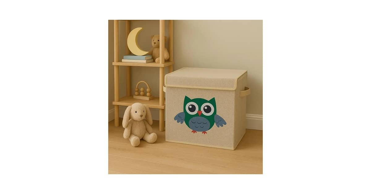 Melhor Forma de Organizar Brinquedos: Guia Completo