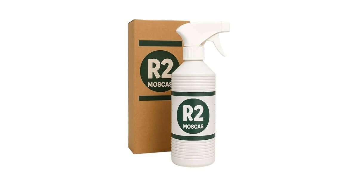 Melhor Inseticida para Moscas: Guia para Eliminar Infestações