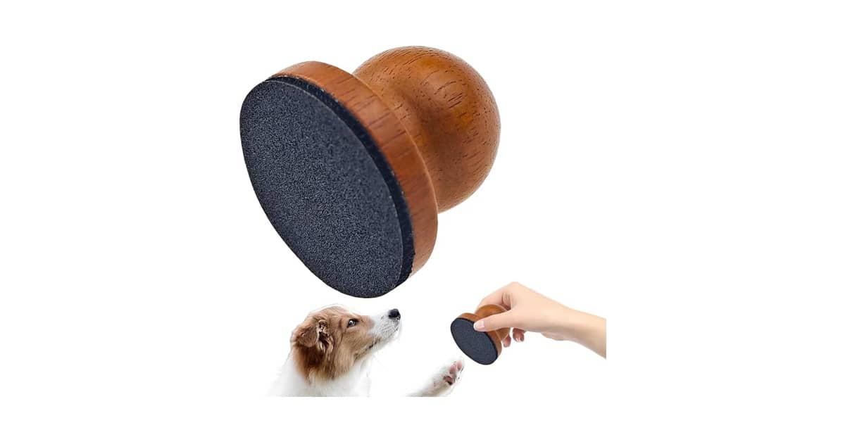 Melhor Lixa de Unha para Cachorro: Guia Definitivo