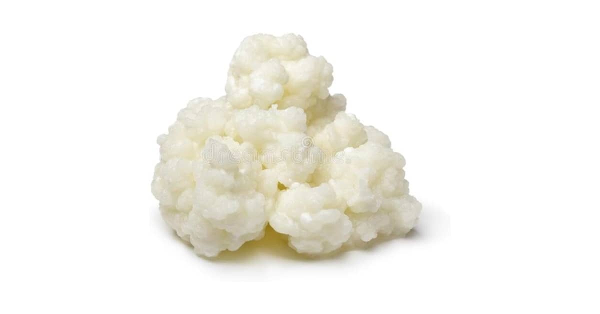 Melhor Marca de Leite para Kefir: Guia Essencial