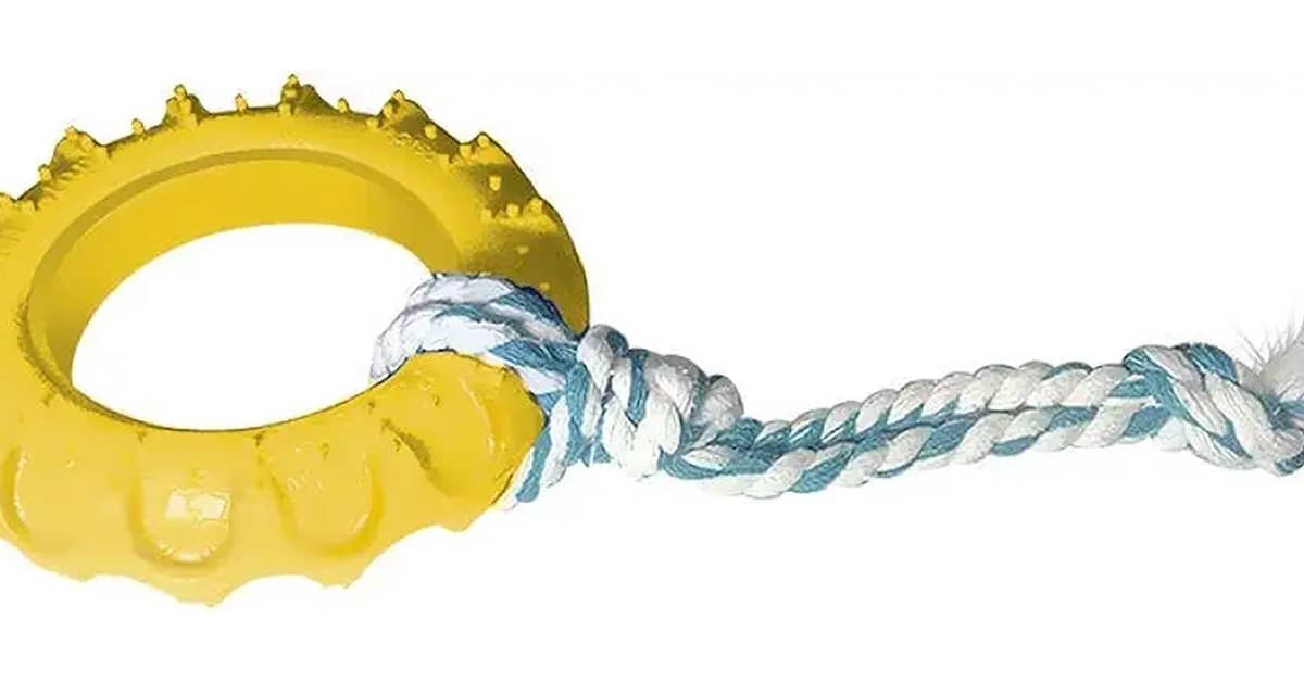 Melhor Marca de Pneu Off Road: Guia de Acessórios Essenciais