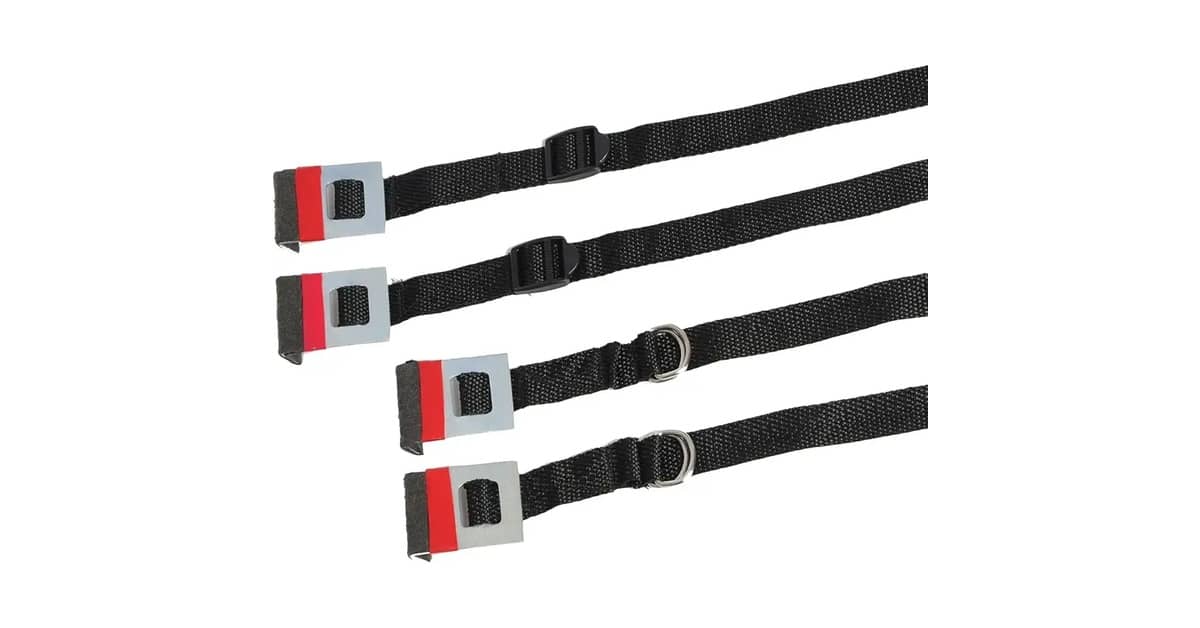 Melhor Marca de Transbike: Guia Essencial