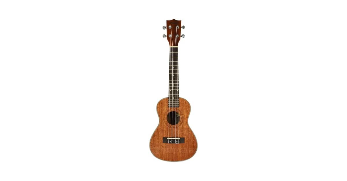 Melhor Marca de Ukulele Concert: Guia Completo