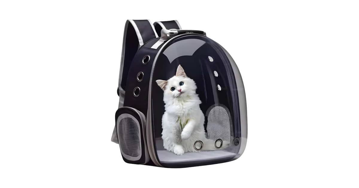 Melhor Mochila Transparente para Gato: 10 Modelos com Visão Panorâmica