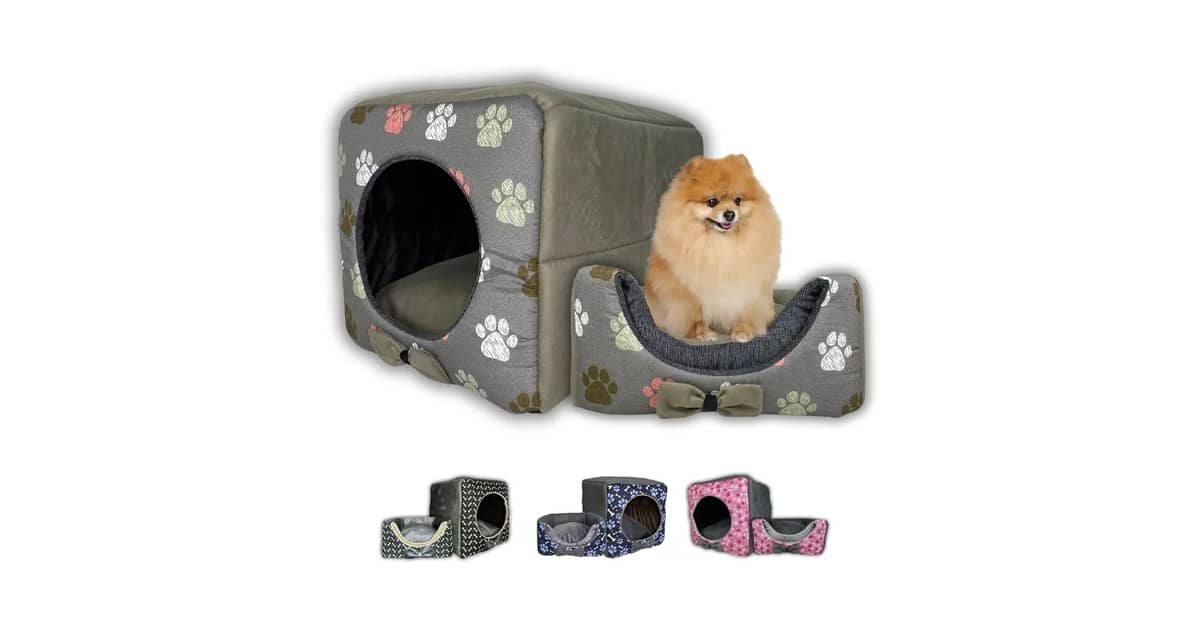 Melhor Piso para Casa com Cachorro: Durabilidade e Conforto