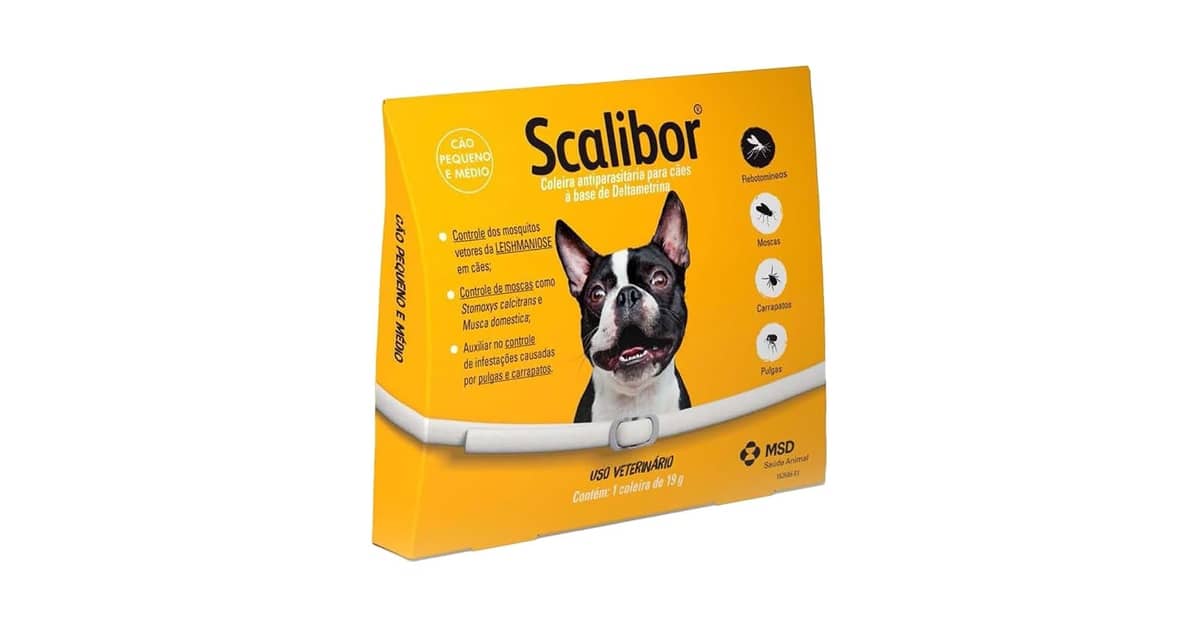 Melhor Ração para Cachorro com Leishmaniose: Proteção Essencial