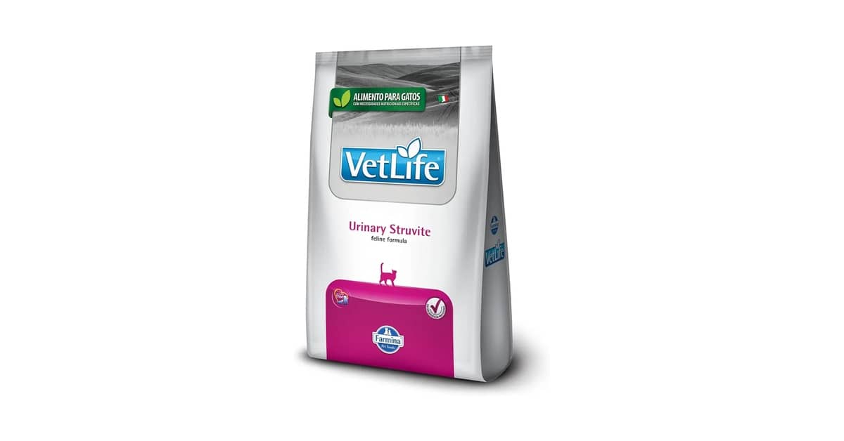 Melhor Ração para Gato com Pancreatite: Foco Digestivo