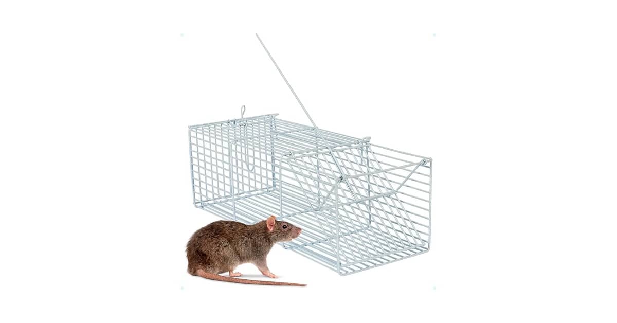 Melhor Ratoeira do Mundo: Guia Essencial e Comparativo