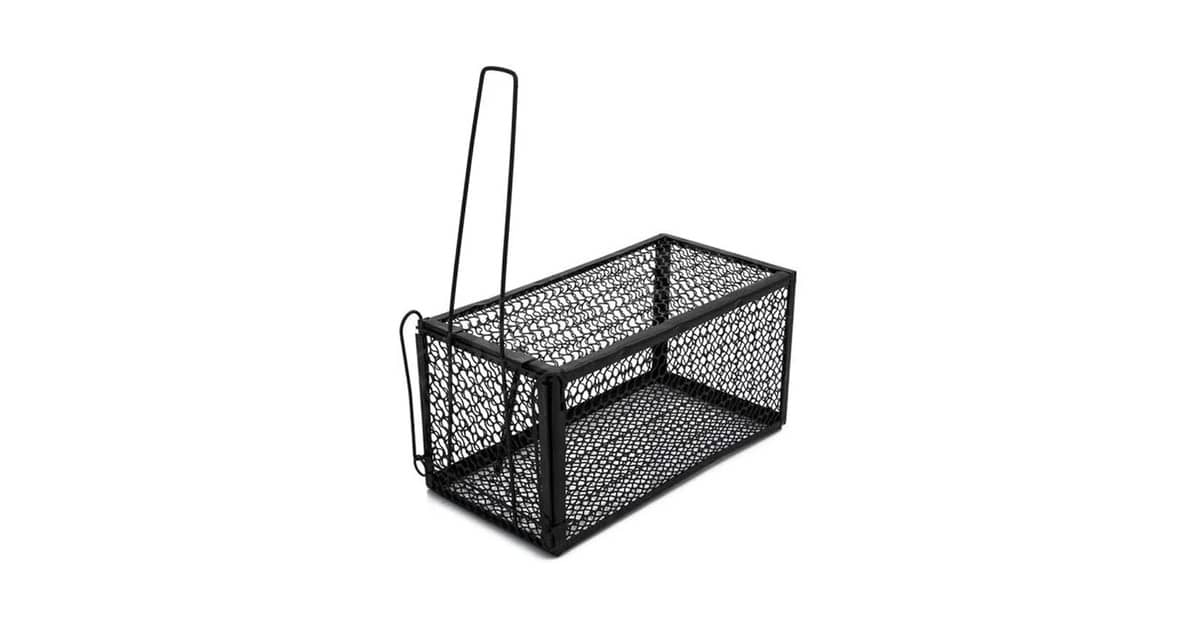 Melhor Ratoeira para Ratos Grandes: Captura Eficaz
