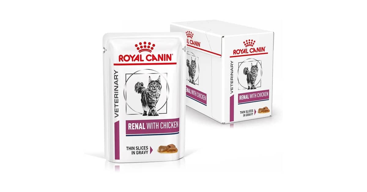 Melhor Sachê para Gato Renal: Guia Completo e Opções