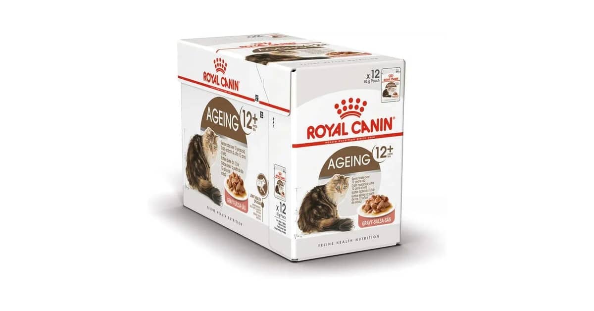 Melhor Sachê para Gatos Idosos: Nutrição e Conforto