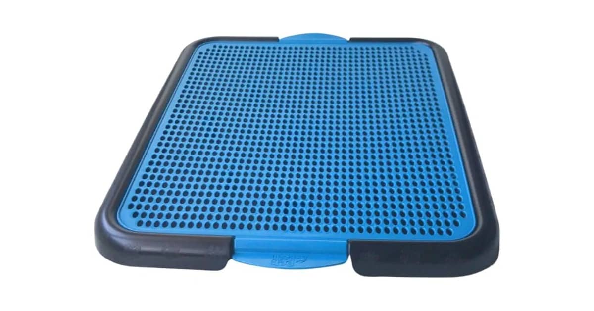 Melhor Sanitario Canino: Guia Completo Para Seu Pet