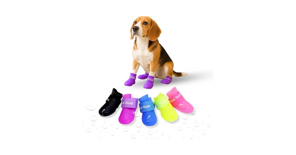 Melhor Sapatinho para Cachorro: Guia Completo