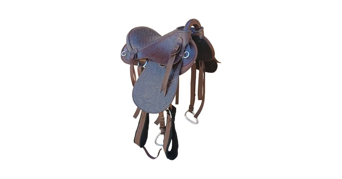 Melhor Sela para Cavalgada: Guia Essencial