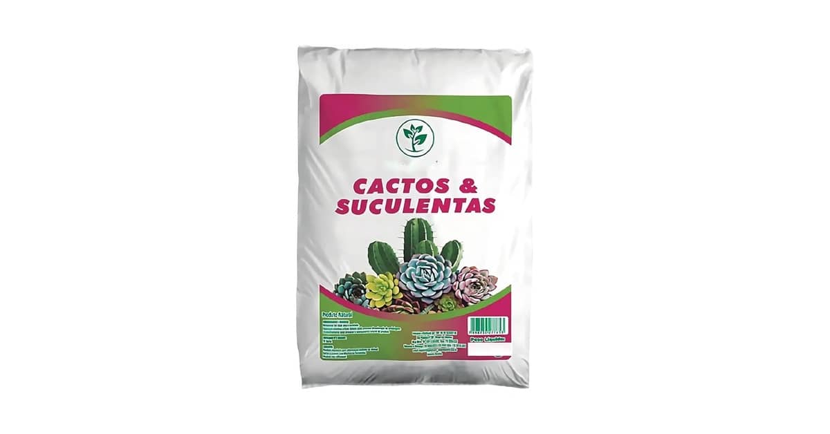 Melhor Solo para Suculentas: Guia Completo e Opções