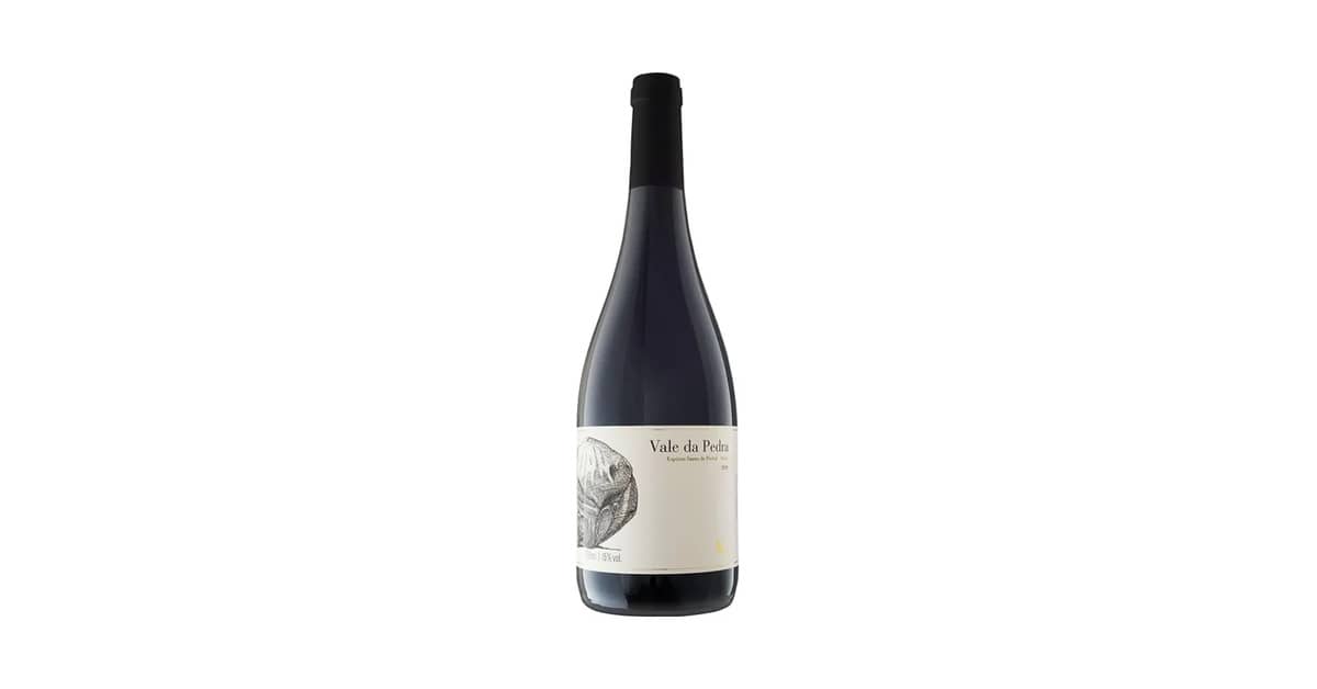 Melhor Syrah Brasileiro: Vinhos Premium para Degustar!