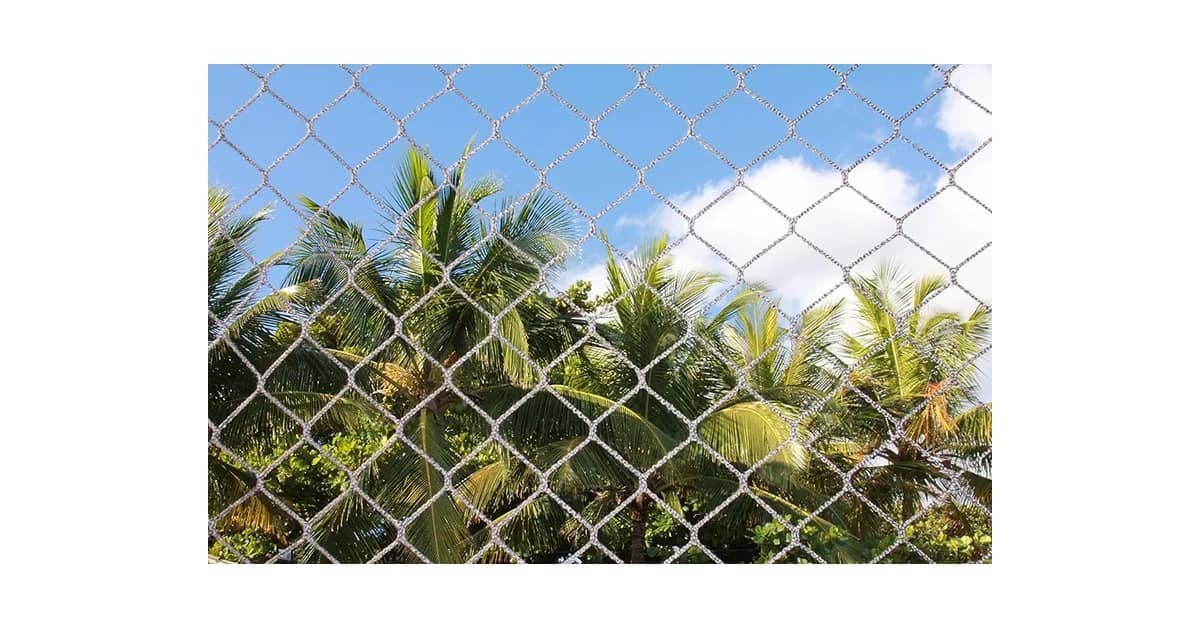 Melhor Tela de Projeção: Guia Essencial