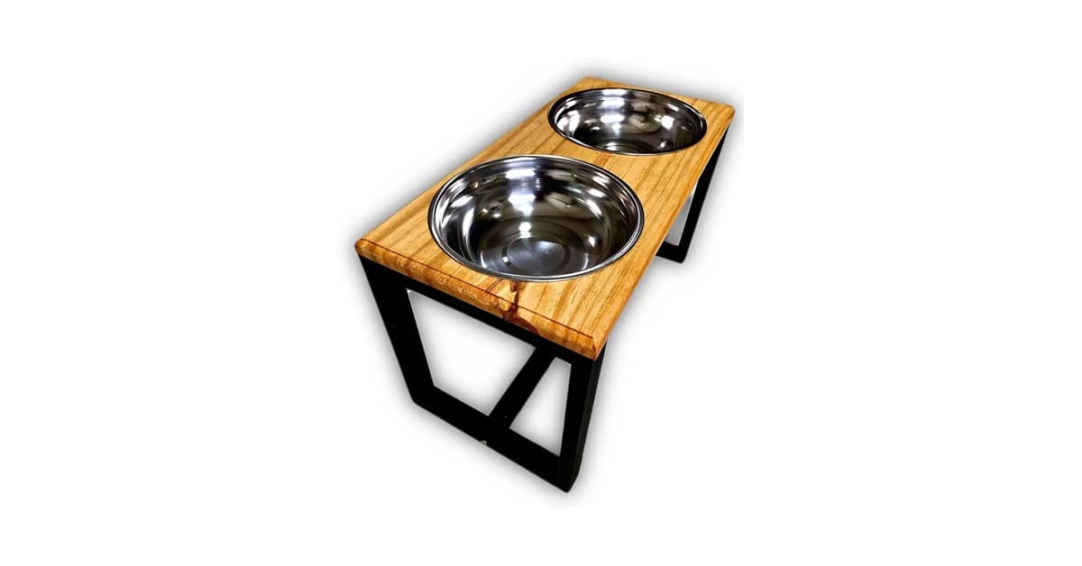 Melhor Tipo de Comedouro para Cachorro: Guia Essencial