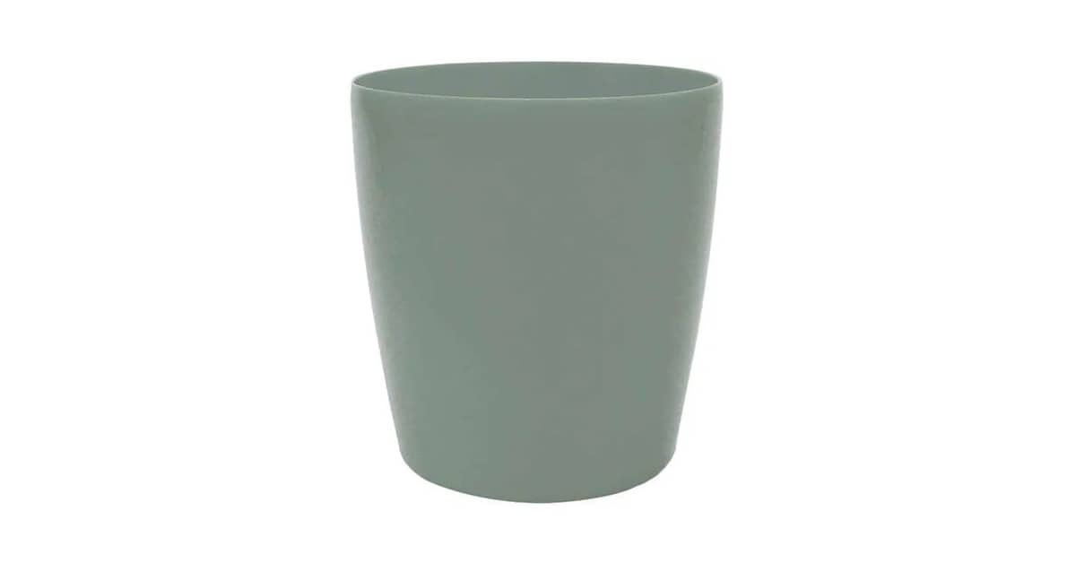 Melhor Vaso para Orquídeas: Guia Essencial para Flores Saudáveis