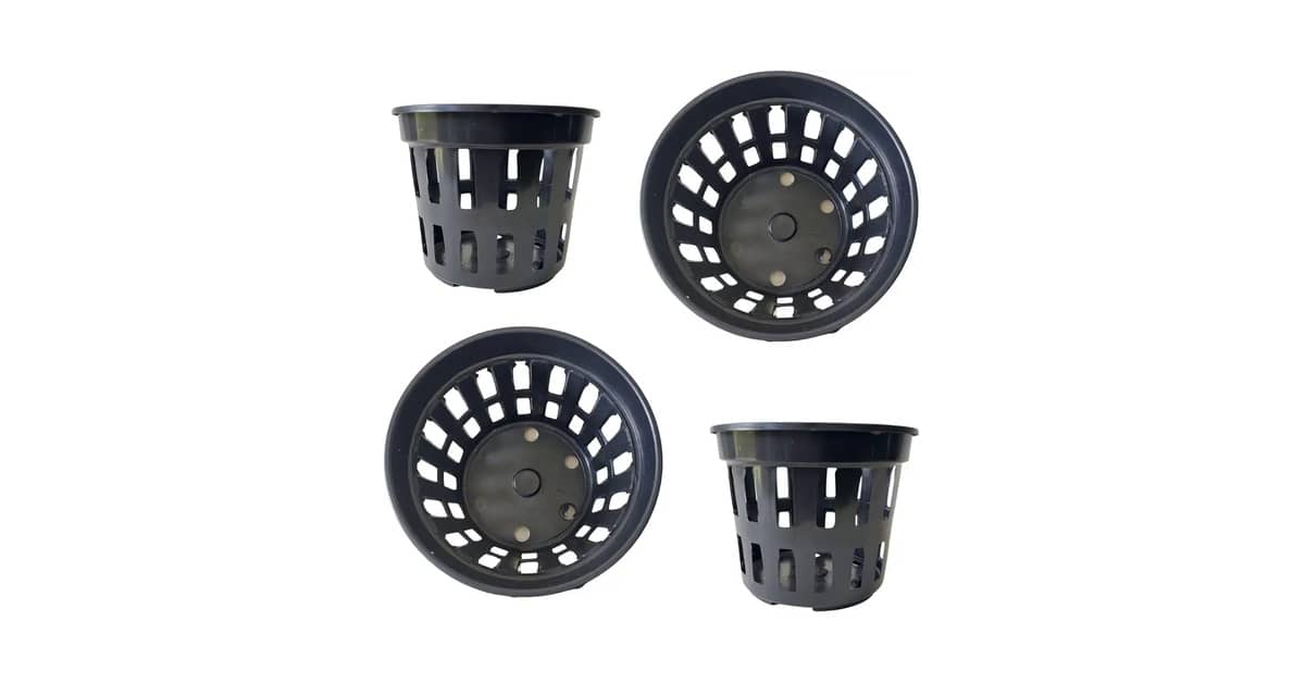 Melhor Vaso para Plantar Flor de Maio: Guia Completo