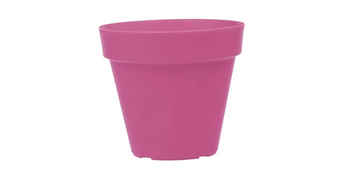 Melhor Vaso para Plantar Rosa do deserto: Guia Essencial
