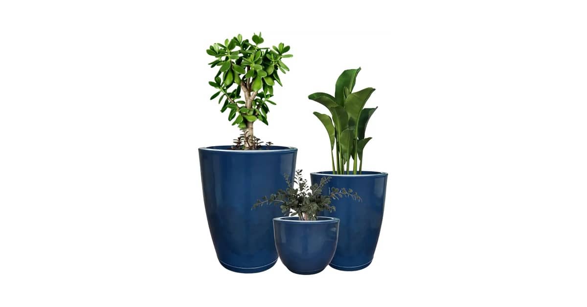 Melhor Vaso para Plantas: Luxo e Decoração