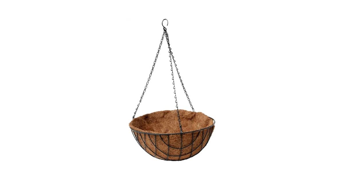 Melhor Vaso para Samambaia: 10 Modelos de Alta Drenagem
