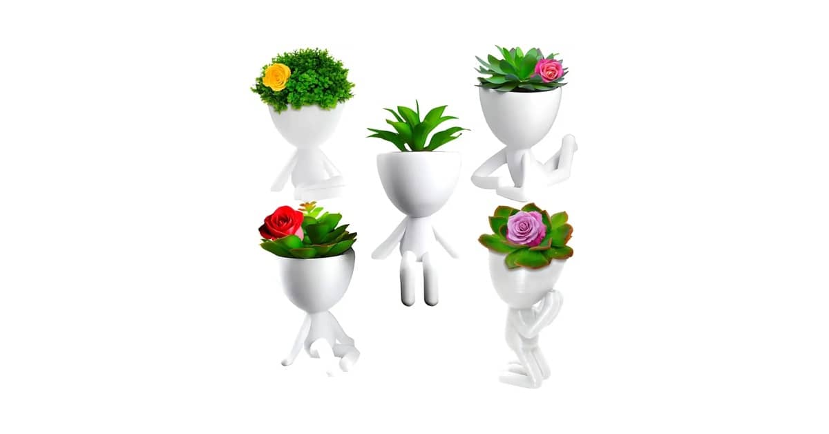 Melhor Vaso para Suculentas: Guia Completo