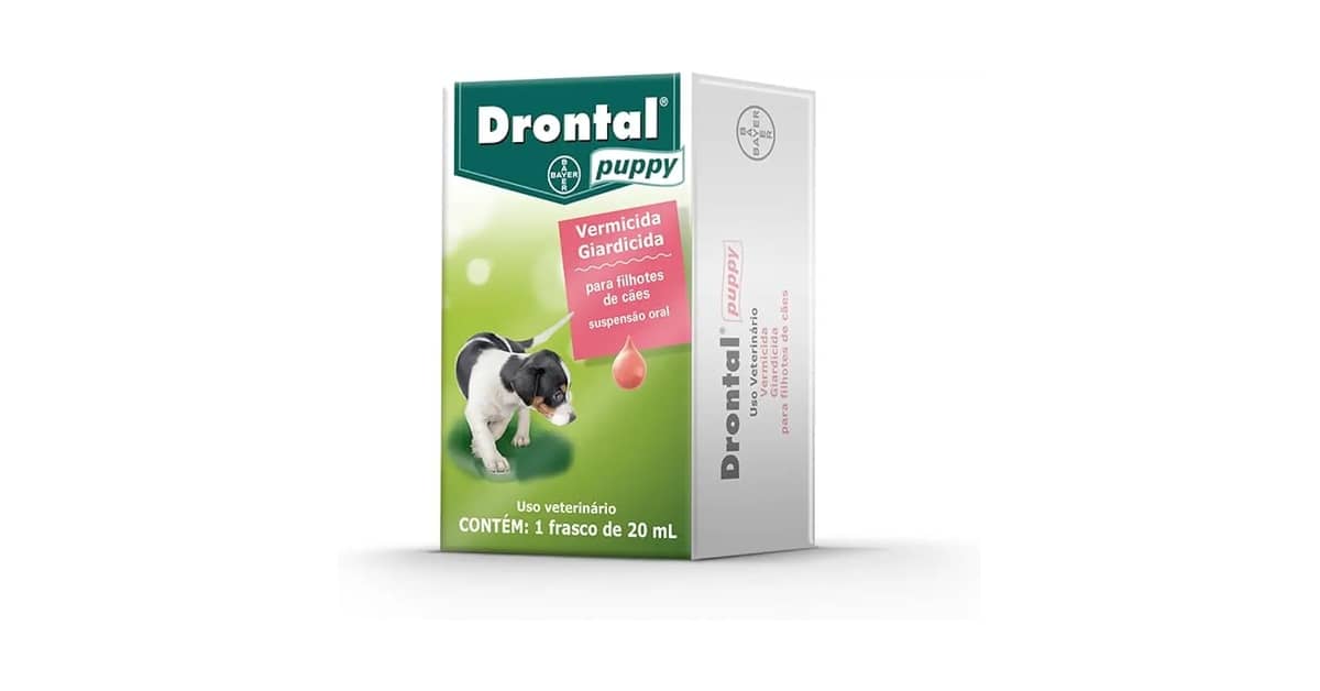 Melhor Vermífugo para Cachorro Filhote: Guia Completo