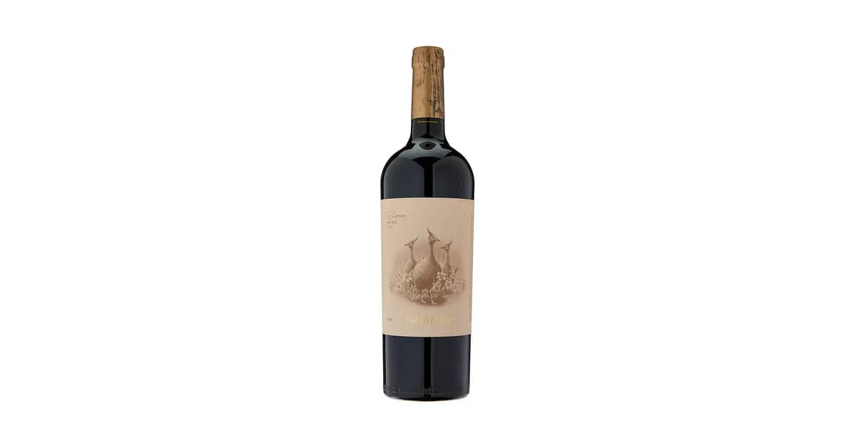 Melhor Vinho Argentino Malbec: Guia Completo 2024