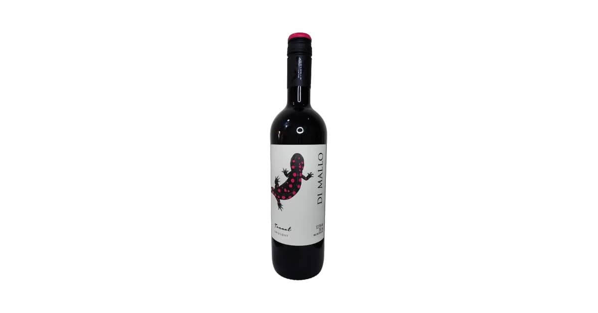 Melhor Vinho Tannat Uruguaio: Sabores e Aromas Únicos
