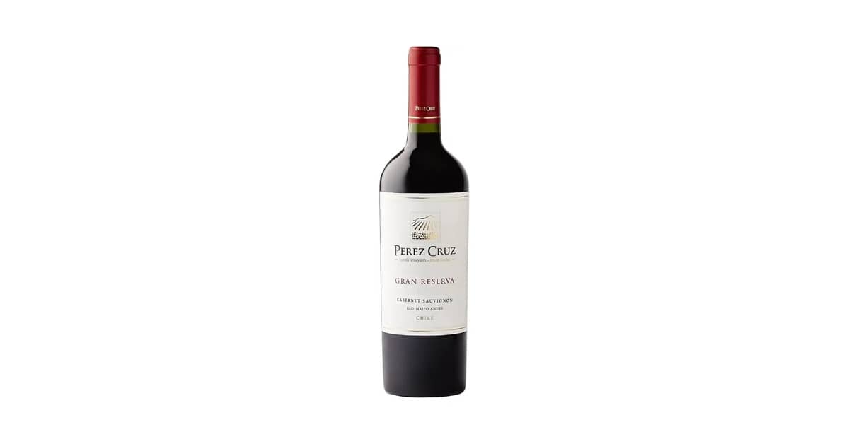 Melhor Vinho Tinto Chileno: Guia de Sabores e Aromas