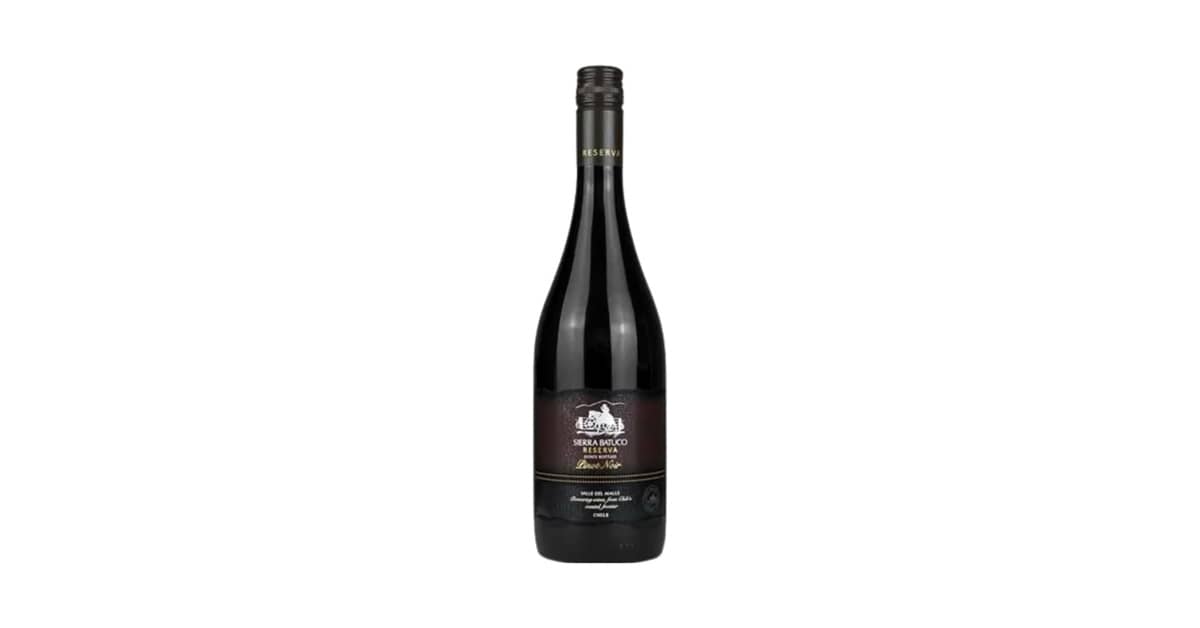 Melhor Vinho Tinto Pinot Noir: Guia de Sabores e Origens