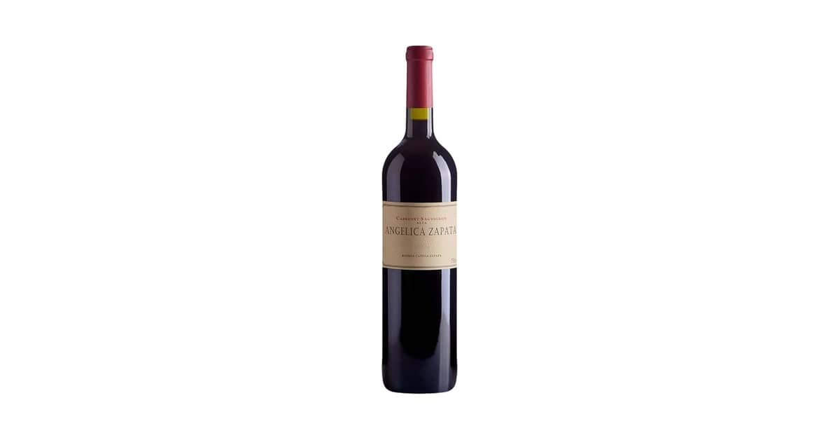 Melhor Vinho Tinto Seco Argentino: Guia de Malbecs e Cabernets