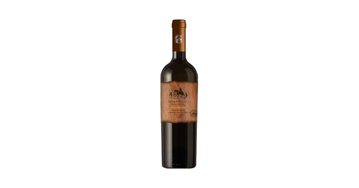 Melhor Vinho Tinto Seco: Guia de Sabores e Aromas