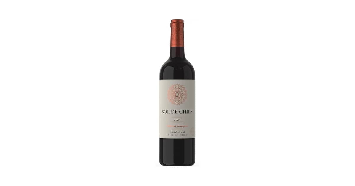 Melhor Vinho Tinto Suave Chileno: Descubra Sabores Doces!