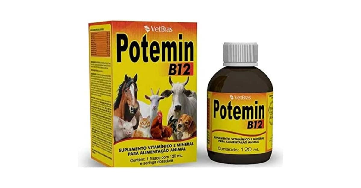 Melhor Vitamina B12 para Cachorro: Guia Essencial