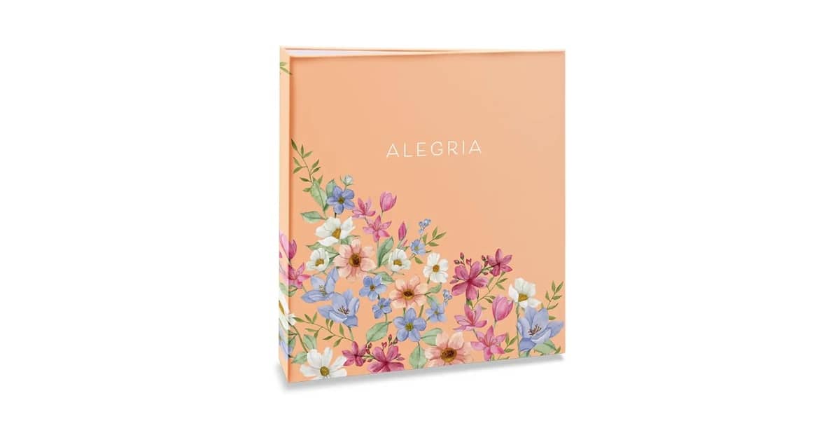 Melhores Albuns de Fotos: Guia de Compra e Opções