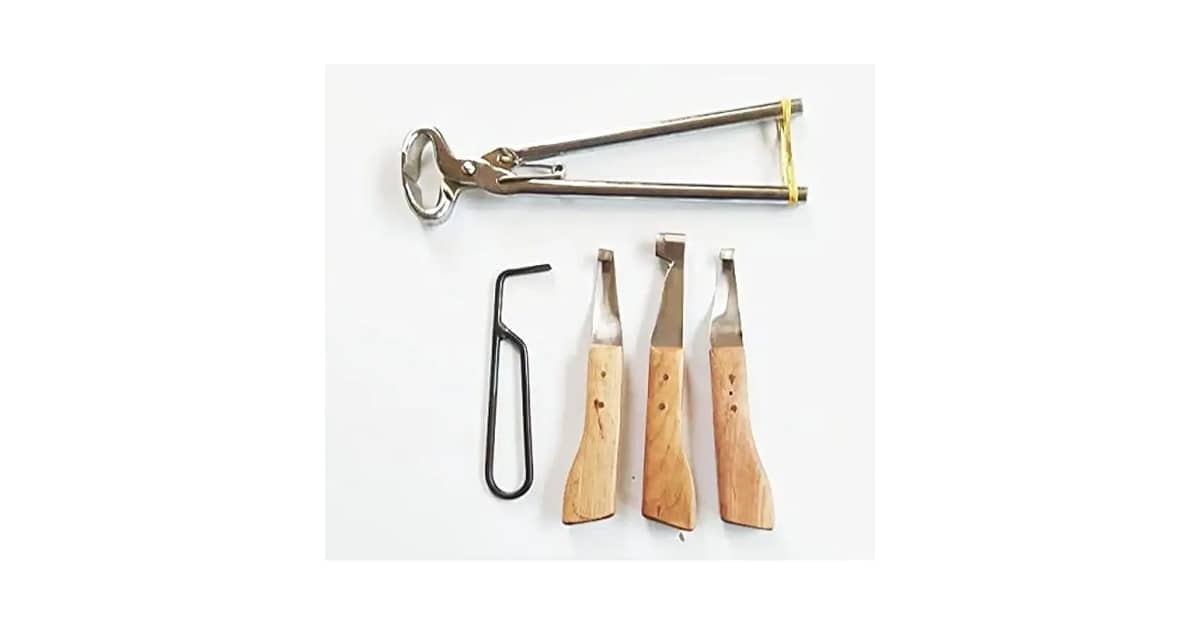 Melhores Casqueamentos: Guia Essencial para Escolha