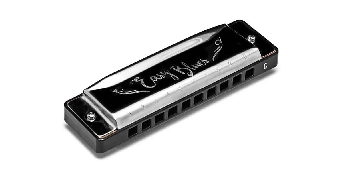 Qual a Melhor Gaita Ponto para iniciantes? Guia Definitivo