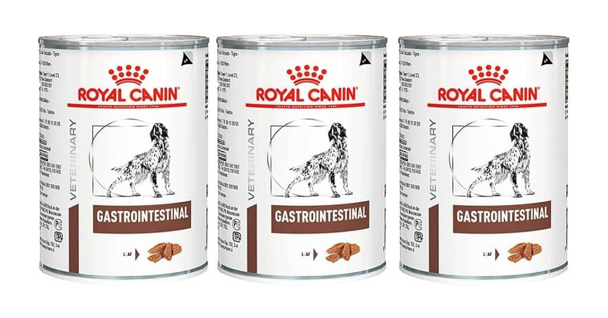 Qual a Melhor Ração para Vira-Lata: Guia Definitivo