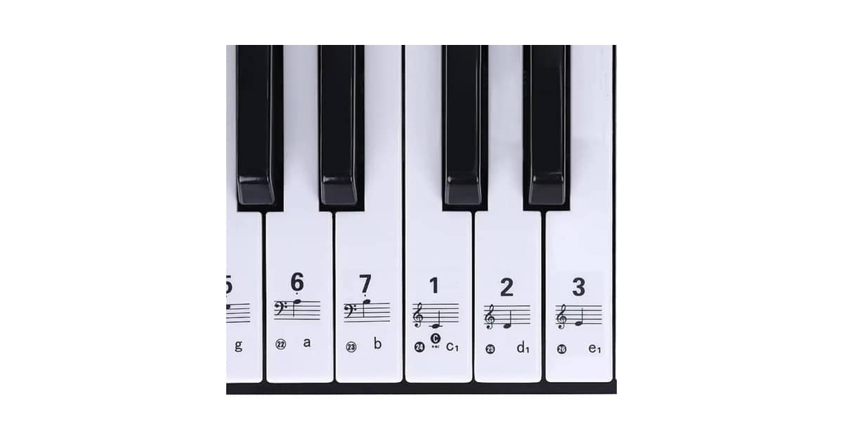Qual a Melhor Marca de Teclado Musical para iniciantes? Guia Essencial