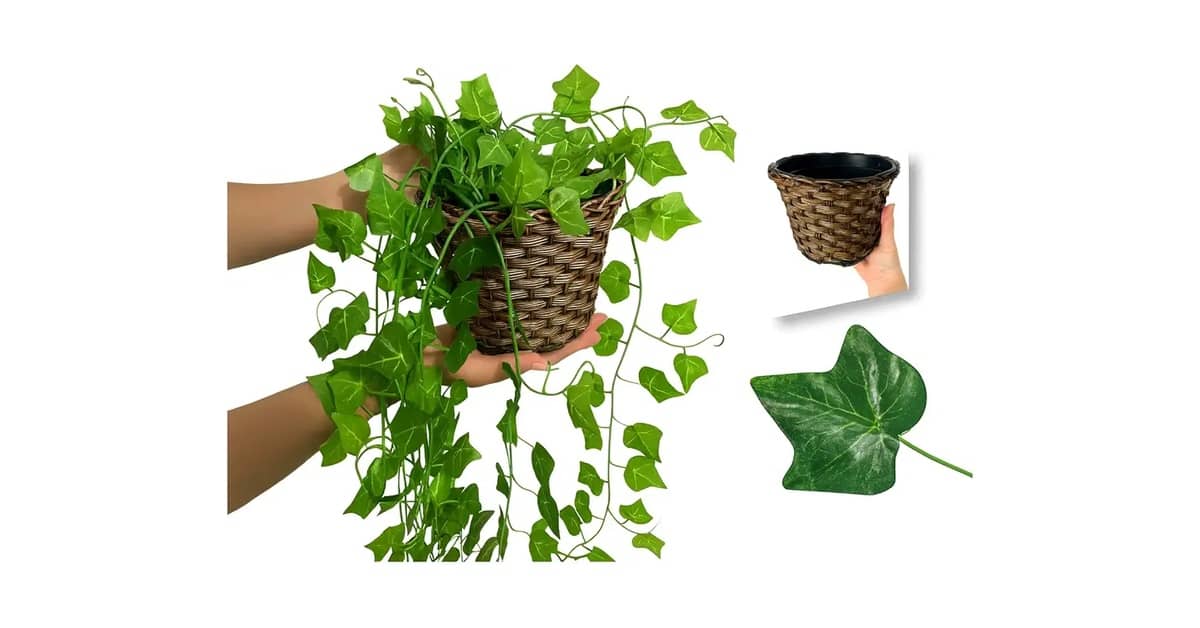 Qual a Melhor Planta para Mesa de Escritório? Guia de Escolha