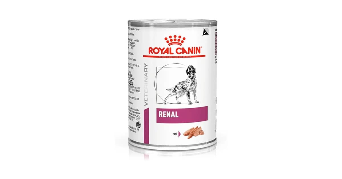 Qual a Melhor Ração para Cachorro Idoso com Problema Renal: Guia Completo