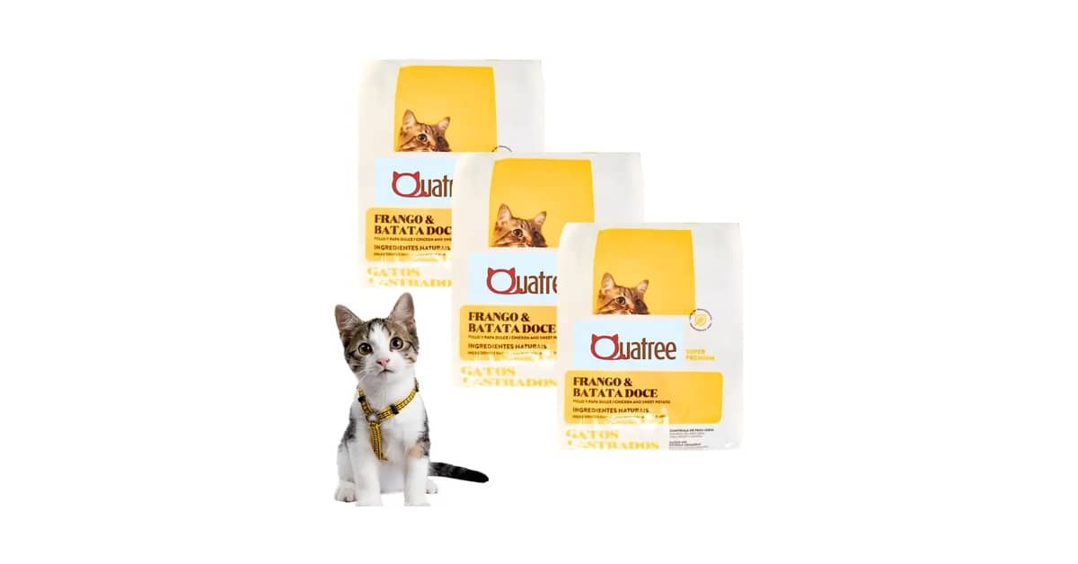 Qual a Melhor Ração para Gato Castrado com Infecção Urinária: Guia Completo