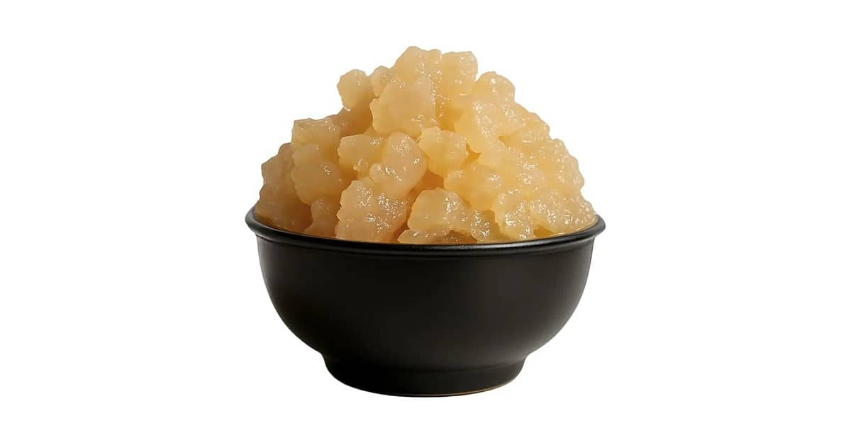 Qual e Melhor Kombucha ou Kefir: Guia de Probióticos Caseiros