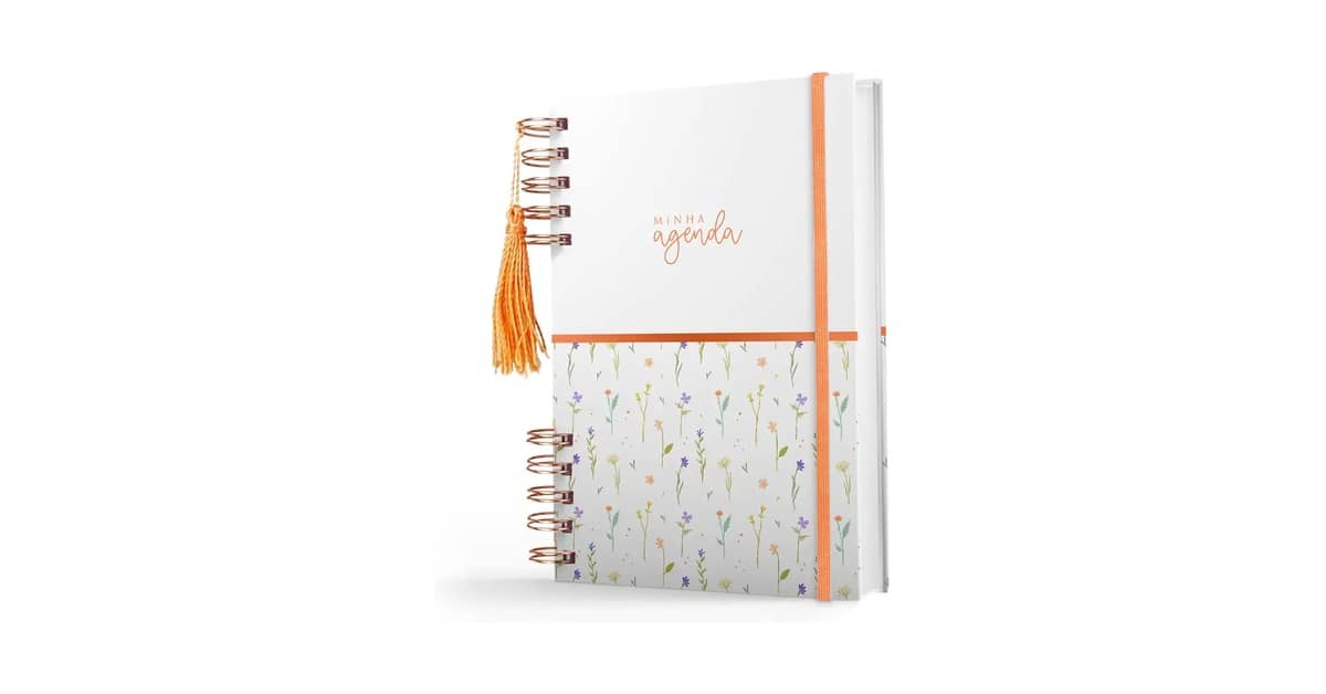 Qual Melhor Agenda Permanente Para Organizar Tudo?
