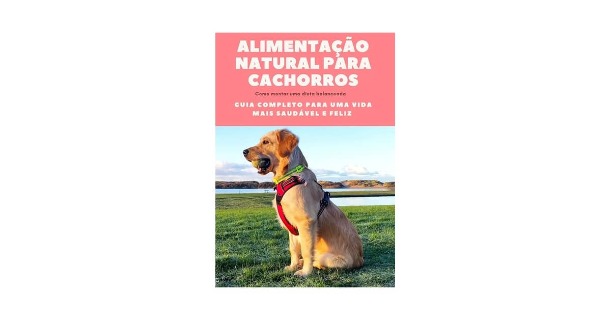 Qual Melhor Alimentação Natural Para Cachorro? Análise